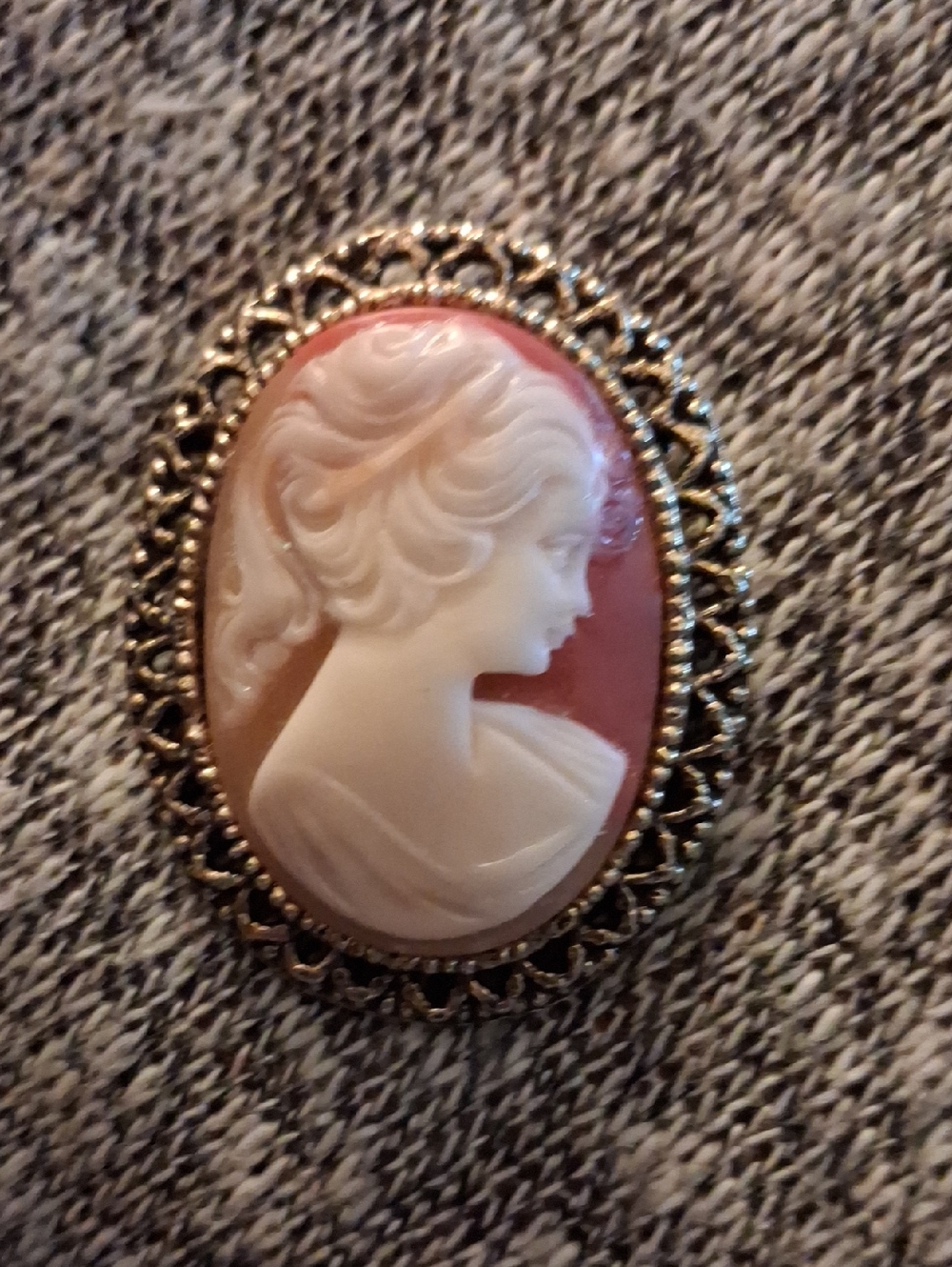 Classic Pink Cameo Brooch with Gold-Tone Filigree